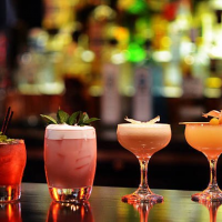 Cocktail Evening Cocktail Evening